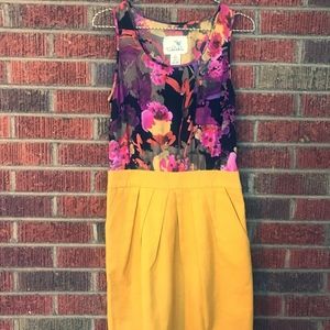 Anthropologie Tabitha Knee Length Dress size 4
